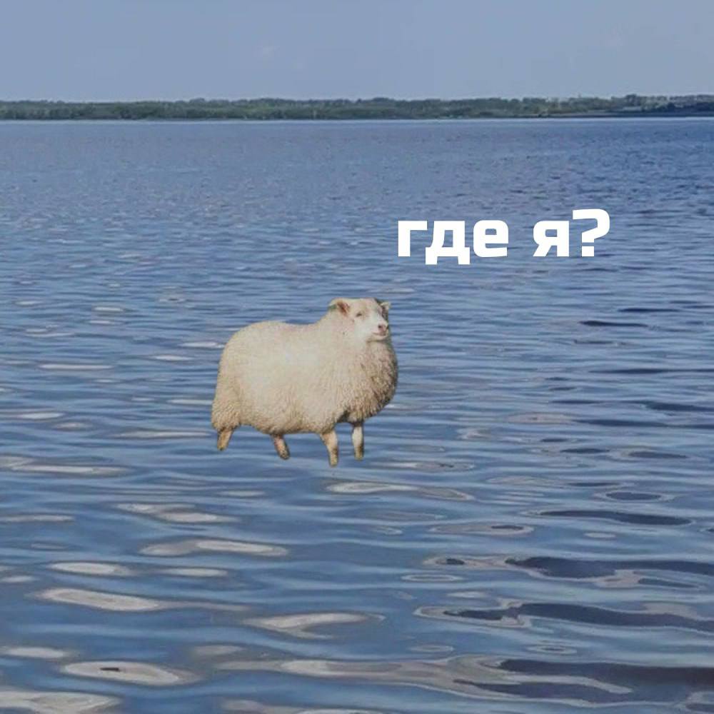 Мужчина заснул на матрасе и очнулся посреди Аслыкуля. В Давлекановском районе спасли 38-летнего отдыхающего, которого унесло от берега. Его заметили очевидцы и успели вытащить, прежде чем произошло что-то серьезное. Спасатели напоминают: надувные матрасы не подходят для плавания. Их легко уносит ветром, а в случае пробоины они быстро теряют форму. Особенно опасно, если человек не умеет плавать. Подпишись на «Короче, Стерлитамак»