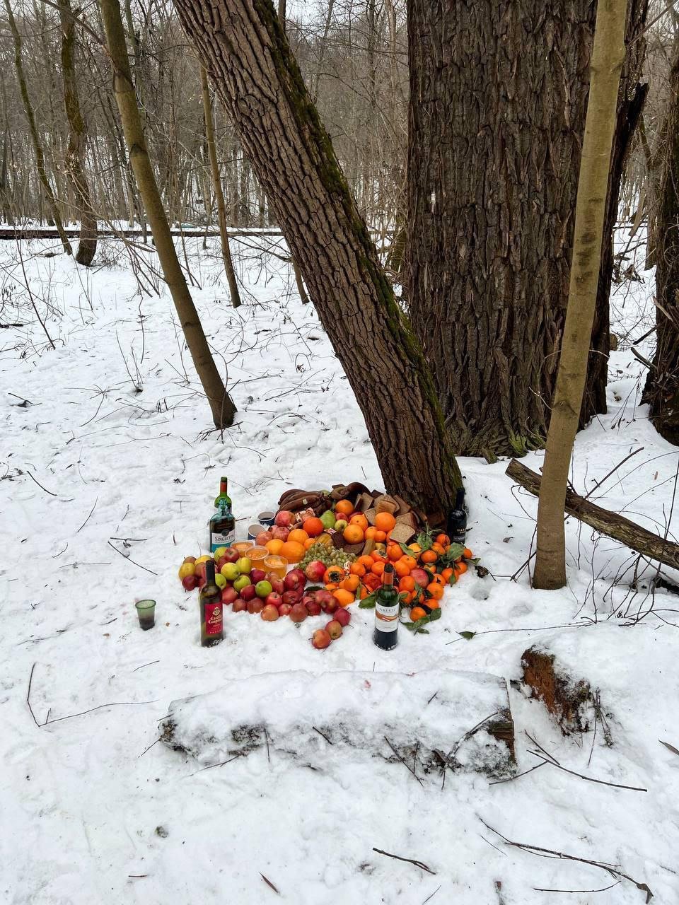 Жуткую находку сегодня обнаружили в Матвеевском лесу   Местные жители гуляли и обнаружили трупы животных, которые выложены по кругу, кругом кровь, рядом под деревом спиртное и фрукты.