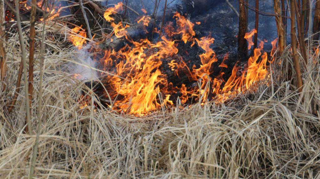 На Камчатке участились палы сухой травы: за сутки зарегистрировано 8 возгораний, включая траву 1350 м² и автопокрышки. Пожарные потушили семь очагов. Пожароопасный сезон официально начался 25 апреля, но первые случаи были и раньше. В МЧС подчеркивают: основная причина — человеческий фактор. Многие ошибочно верят в пользу выжигания травы, но это вредит экосистеме. Подписаться Предложка Чат