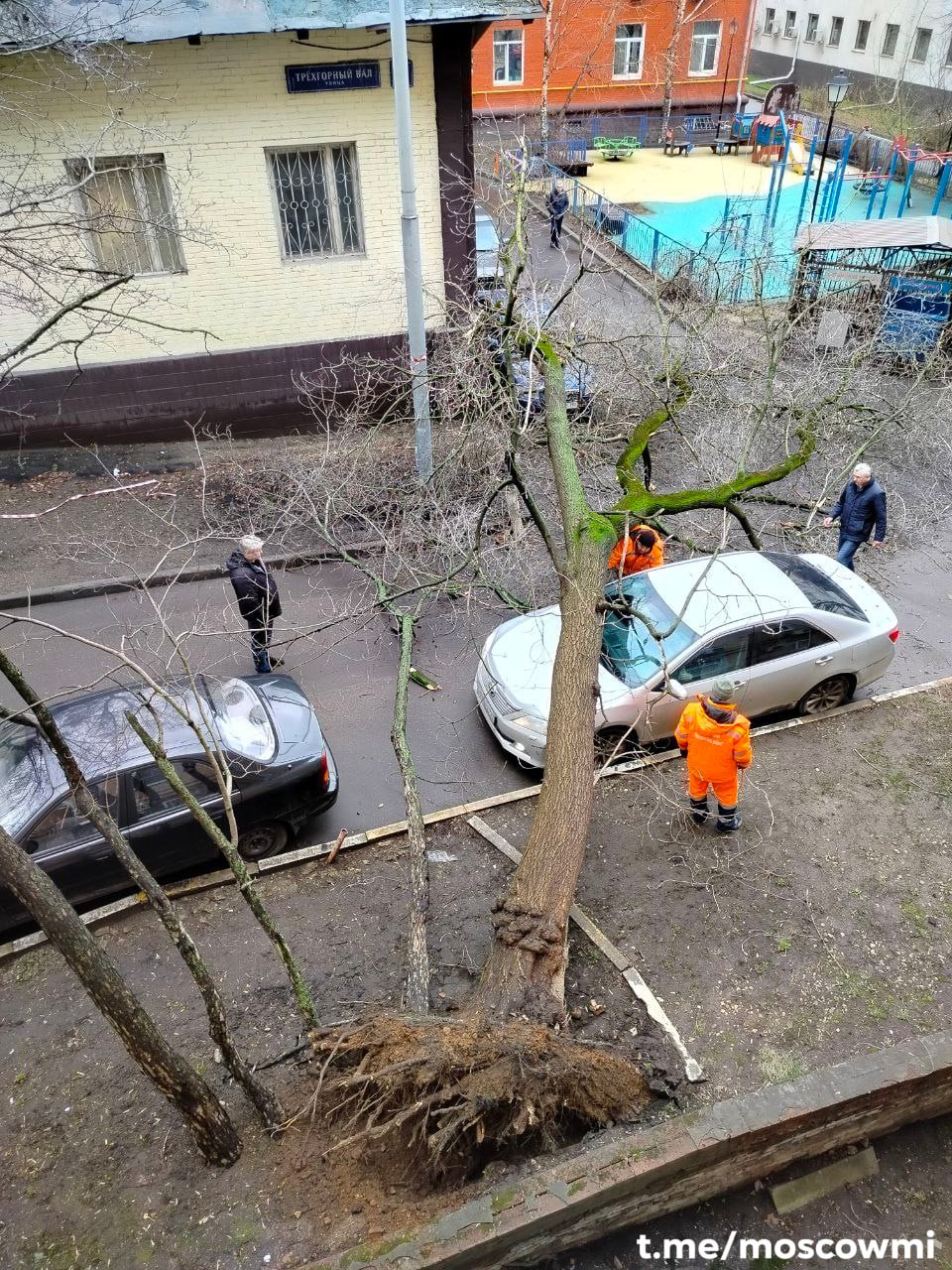 Дерево рухнуло на автомобиль из-за сильного ветра в Москве, на Трёхгорном валу.   Сообщают, что водитель был внутри автомобиля, он не пострадал.