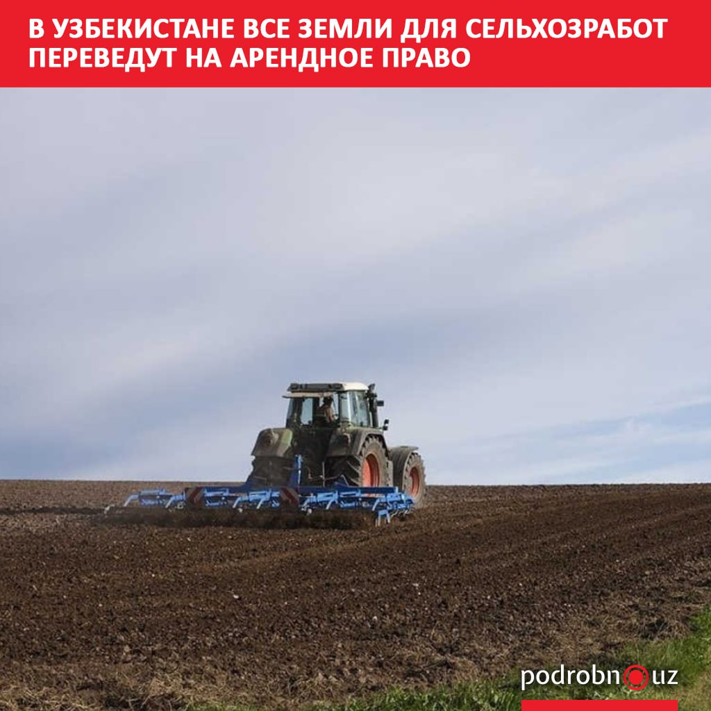 К началу 2027 года все земли сельскохозяйственного назначения переведут на арендное право Эта практика начала действовать с 2021 года podrobno uz cat economic v uzbekistane vse zemli dlya selkhozrabot perevedut na arendnoe pravo Telegram Instagram Facebook Читать на узбекском