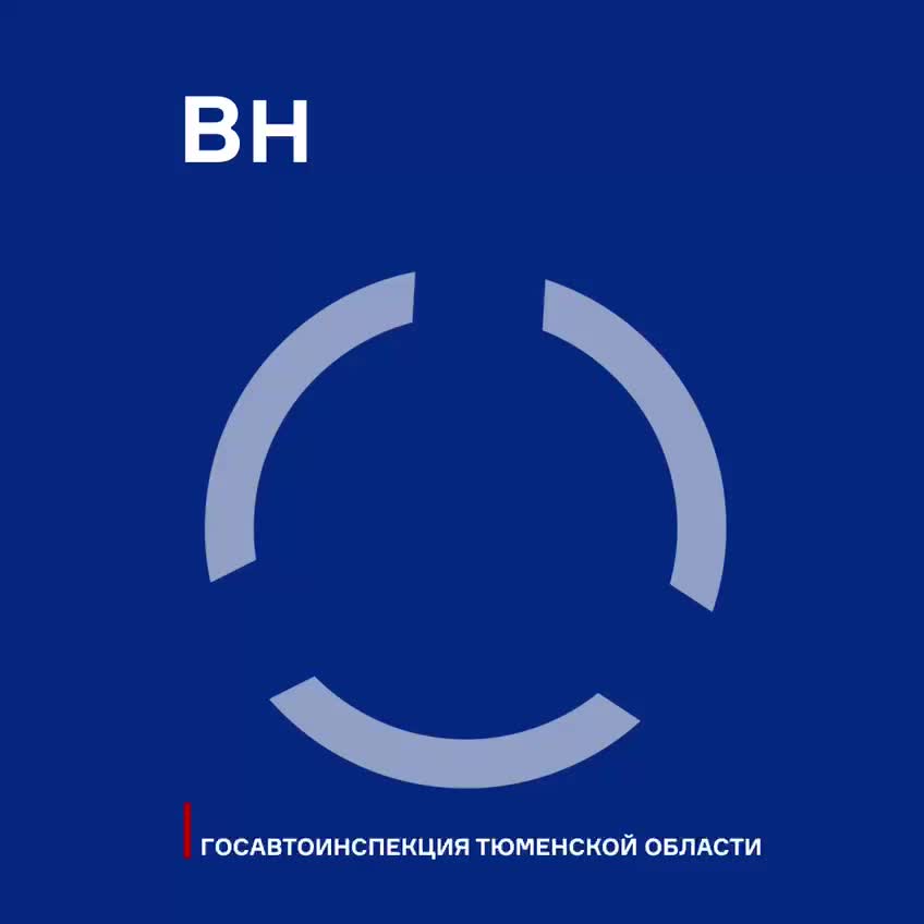 Массовое ДТП на трассе М 7: 13 автомобилей столкнулись в Гороховецком районе