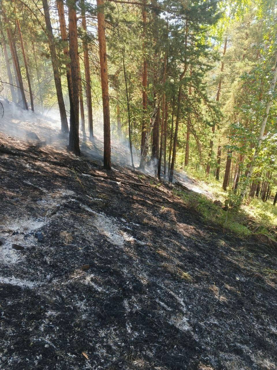 Неосторожное обращение с огнем привело к лесному пожару в Бурятии  За прошедшие сутки в Бурятии вспыхнули два лесных пожара. Причиной возгорания в Заиграевском районе стало неосторожное обращение с огнем. Еще один пожар в Прибайкальском районе возник из-за сухой грозы, сообщили в РАЛХ.  Вместе с тем огнеборцы ликвидировали четыре очага: в Кижингинском, Курумканском, Тарбагатайском и Тункинском  районах, на площади 37 га.  На утро 20 июля в Бурятии действуют в общей сложности пять лесных пожаров: в Заиграевском, Кижингинском и Прибайкальском районах, на общей площади 46,5 га. Угрозы населенным пунктам нет.  На тушении работают 183 человека и 38 единиц техники. Жителям республики напоминают о действии режима ЧС. Места отдыха, сбора валежника и дикоросов закрыты для посещения, использование открытого огня запрещено.    При обнаружении возгораний звоните на горячую линию лесной охраны: 20-44-44.