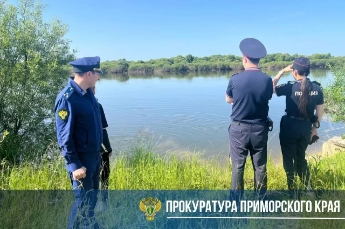 В четверг, 19 июня, на реке Большая Уссурка в Дальнереченске во время купания пропал пятнадцатилетний подросток. Как уточнила пресс-служба прокуратуры Приморского края, молодой человек исчез в месте, где установлены предупреждающие знаки о запрете купания. В районе происшествия организованы поисково-спасательные мероприятия. Специалисты обследуют акваторию и берега, чтобы установить местонахождение несовершеннолетнего. Прокуратура держит на контроле ход проверки, а также оценивает исполнение законодательства администрацией округа и работой органов профилактики. #Дальнереченск #Приморье #происшествие #новости #подросток #прокуратура Подробнее