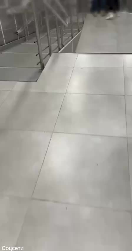 В Санкт-Петербурге мужчина с собакой напал на супружескую пару