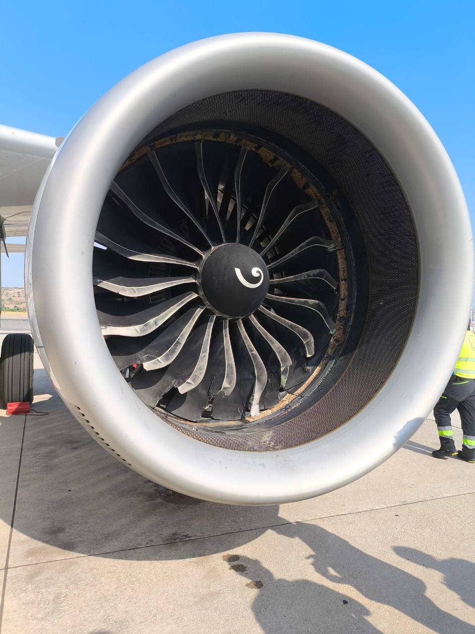 Суровые нынче птицы в Европе Самолет Iberia Airbus A321XLR б/н EC-OOJ был вынужден вернуться обратно в Барахас, Мадрид после столкновения с птицами вскоре после взлета в воскресенье 3 августа. Самолет выполнял рейс IB579 в Париж, когда на него жестоко «напала» птица, повредив носовой обтекатель и антенну метеорологического радара. Новёхонький, двухмесячный самолет Iberia Airbus A321-253NY XLR также получил повреждение левого двигателя. Борт естественно был отстранен от рейсов до полного восстановления. FlightMode
