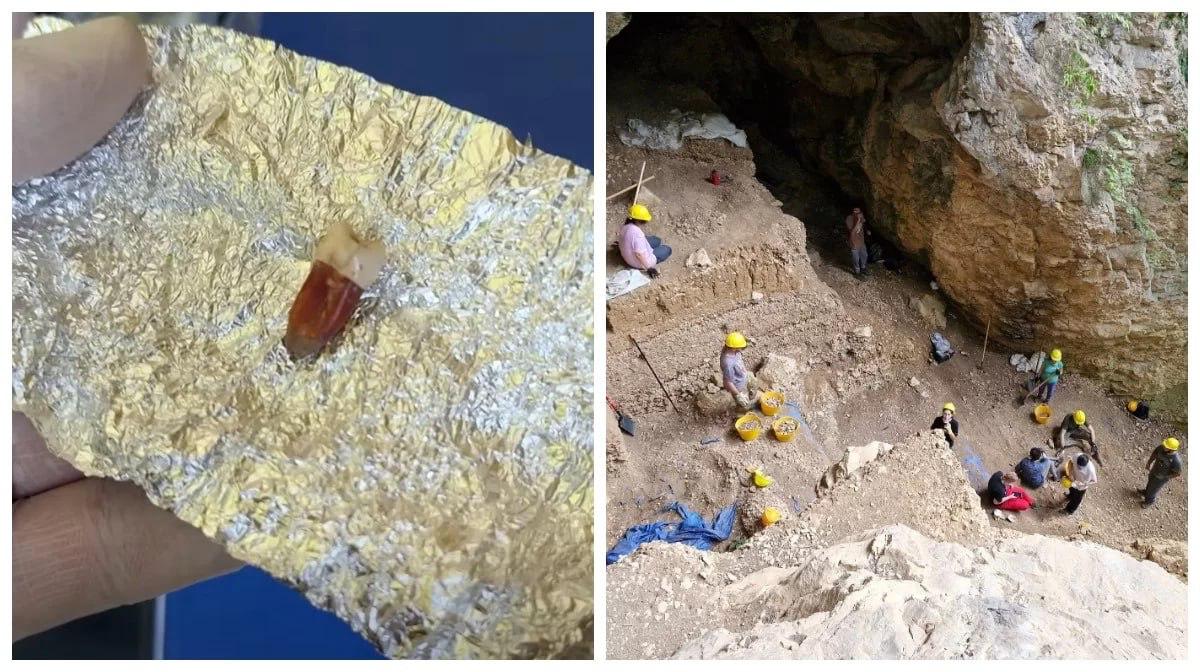 В западной Грузии археологи нашли зуб неандертальца в пещере Цуцхвати Бронзовой пещере Возраст находки около 50 тысяч лет По данным Государственного университета Илии это открытие может помочь лучше понять эволюцию человека Учёные также нашли следы костров и кости животных доказательства что неандертальцы активно использовали пещеру По последним данным они обитали там уже 90 тысяч лет назад