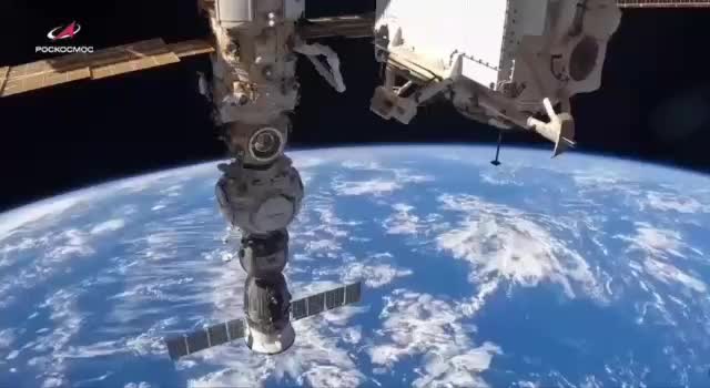 Космонавты Роскосмоса поздравили россиян с Днем Конституции с борта МКС