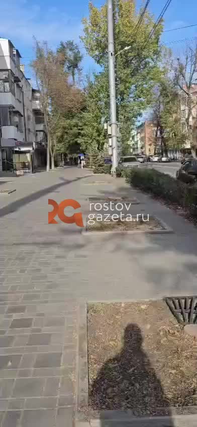 Жители Первомайского района Ростова недовольны состоянием улицы Металлургической после обрезки деревьев