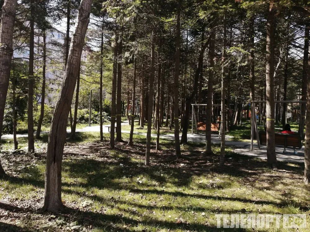 Пик активности клещей начнется в мае В мае особенно активны клещи, которые являются переносчиками опасных болезней. При этом не каждый клещ, которого называют "энцефалитным", заражен вирусом, и не каждый зараженный клещ является гарантированно носителем заболевания, рассказали ТАСС в пресс-службе Верхневолжского государственного агробиотехнологического университета. С середины апреля до середины июня длится активность клещей. В мае самый пик. Второй пик активности наступает осенью, в сентябре, однако осенний намного меньше. Продолжение