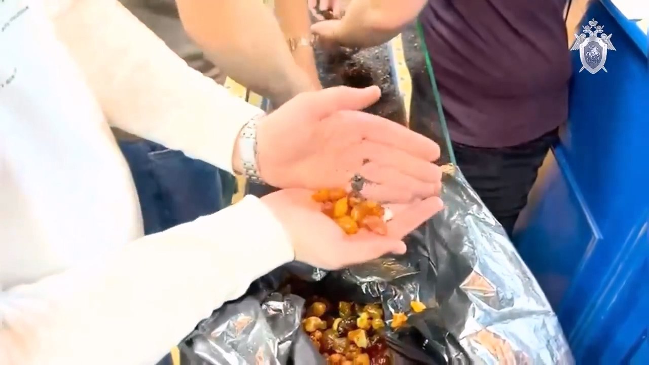 Осужденному за избиение единороссу добавили статью за незаконный оборот янтаря Павел Малыхин признал вину в покупке незаконно добытого камня Депутату муниципального совета Янтарного предъявлены обвинения в незаконном обороте янтаря по ч 2 ст 191 УК РФ связанная с заведомо самовольно добытым янтарем сделка Расследование уголовного дела уже завершено По версии следствия обвиняемый приобрел самовольно добытый янтарь не имея на то законных оснований и специального разрешения на пользование недрами Стоимость камня в общей сложности составила порядка 3 5 млн руб Янтарь использовали для внешней и внутренней отделки ресторана Янтарная легенда Павел Малыхин был избран депутатом в совет Янтарного в 2024 году от партии Единая Россия  Еще больше новостей в Telegram канале RUGRAD