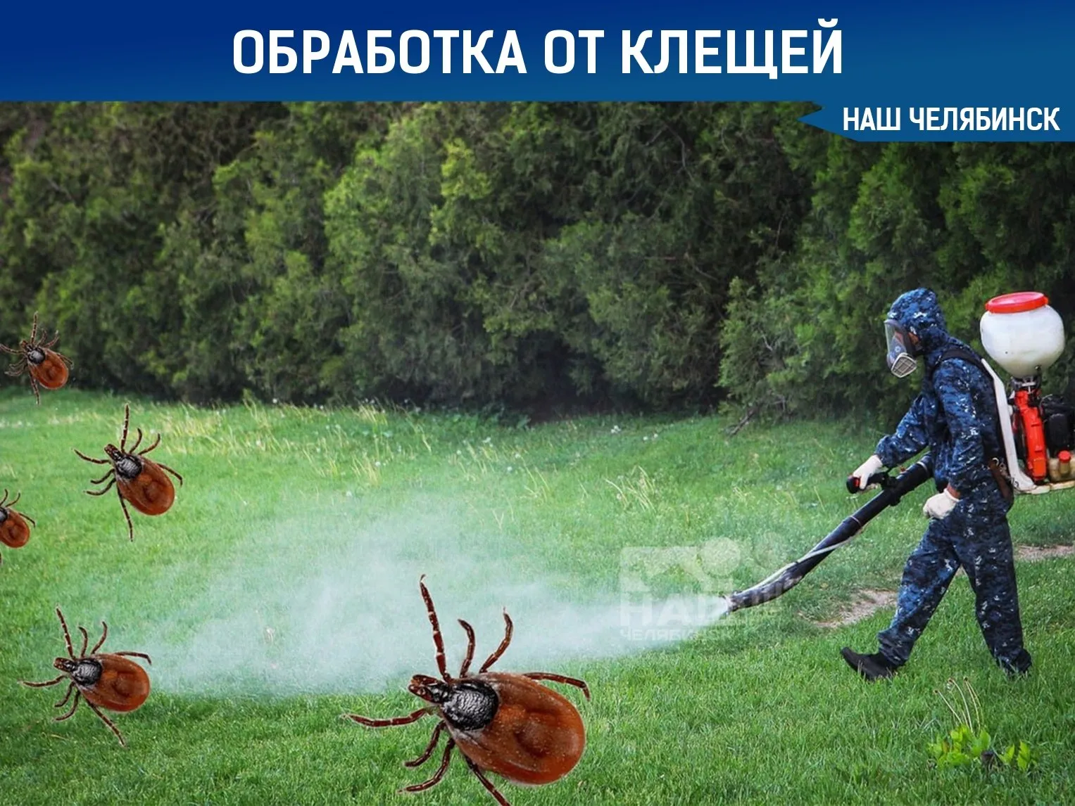 В Челябинске обработают парки от клещей Сегодня проведут акарицидную обработку в Тракторозаводском Центральном и Калининском районах Работы охватят десятки зелёных зон включая прибрежные территории скверы и популярные места отдыха горожан В частности обработка пройдёт у озера Первое на берегах Шершневское водохранилище и реки Миасс а также в ряде аллей и дворовых территорий Жителей просят соблюдать осторожность и избегать обработанных участков в день проведения работ Наш Челябинск новости без лапши Подпишись