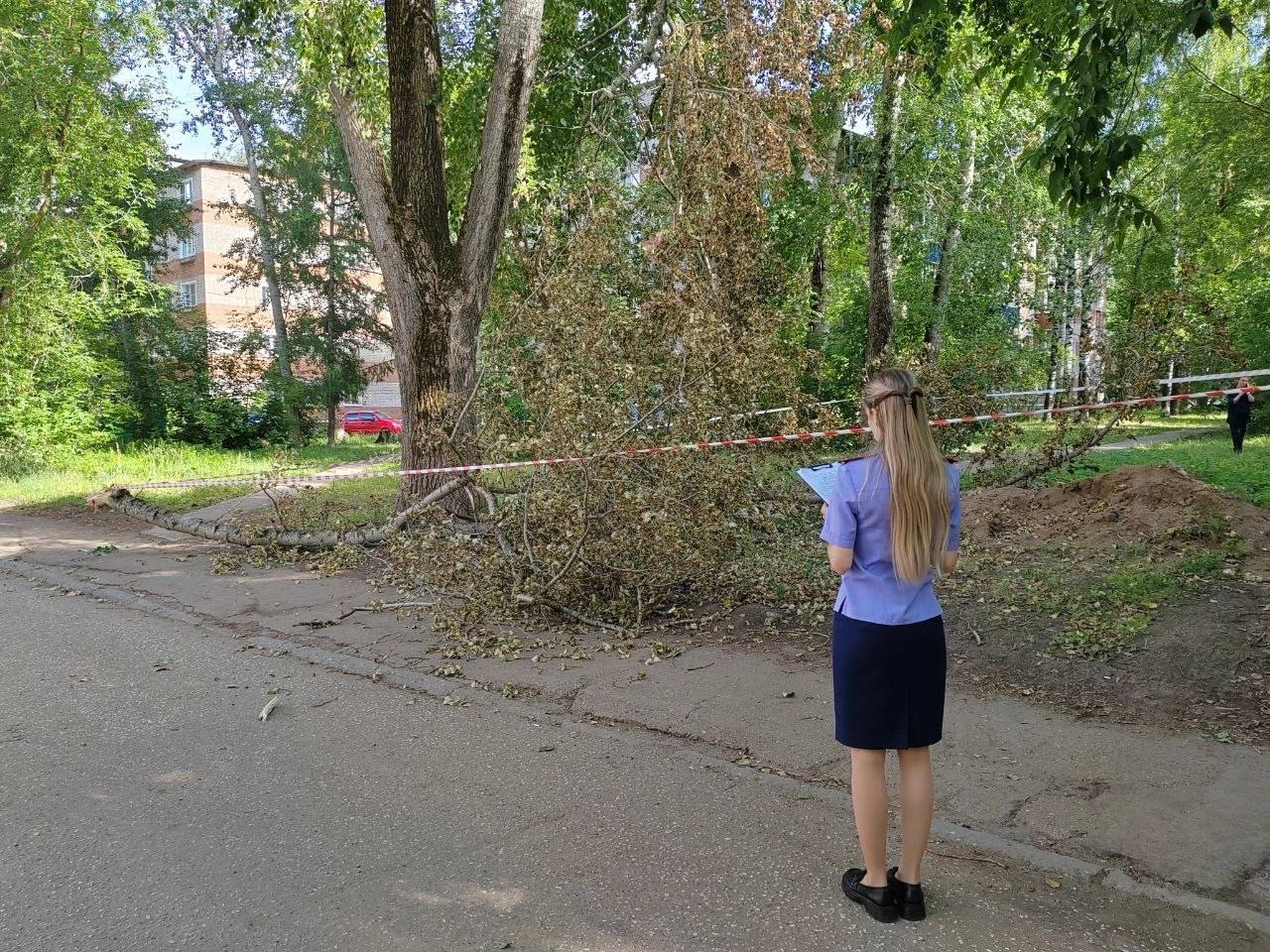 В Кирово-Чепецке вынесен приговор бывшему руководителю муниципального учреждения «Дорожно-эксплуатационная служба», признанному виновным в халатности. Мужчина не организовал своевременную санитарную рубку аварийного тополя у дома № 3 по улице Лермонтова, хотя знал о угрозе для жителей. В результате 26 июля 2024 года отломившаяся ветка упала на 4-летнюю девочку, которая погибла. Суд назначил наказание в виде одного года лишения свободы, заменённого на принудительные работы с удержанием части заработка. Также мужчину лишили права занимать должности в органах власти на один год. Приговор пока не вступил в законную силу.