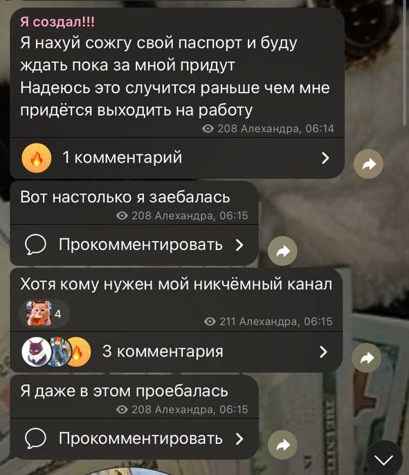 Стримерша из Петербурга сожгла свой паспорт, объяснив это усталостью от работы Как именно документ связан с переутомлением — неясно. Позже она добавила, что сначала хотела «подтереться» им, но в итоге решила сжечь. КК