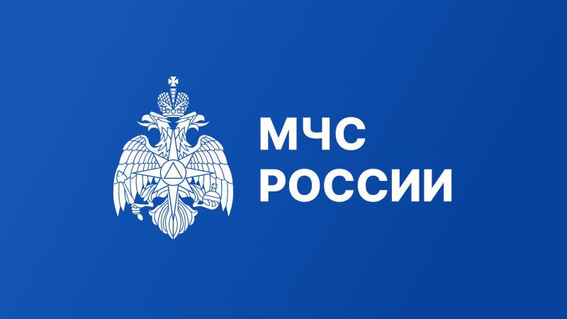 ‍ Докладываем!   В Амурской области в новогодние каникулы, с 29 декабря 2024 года по 8 января наступившего года, чрезвычайных ситуаций не произошло.  «Пожаров на социально-значимых объектах, объектах проведения новогодних и рождественских мероприятий, а также происшествий на водных объектах не зарегистрировано. Не было и случаев возникновения пожаров, связанных с применением пиротехники, - рассказал первый заместитель начальника ГУ МЧС России по Амурской области Владислав Бордунов. - По оперативным сведениям, в новогодние каникулы в области произошло 56 пожаров, в прошлом году за праздники было зарегистрировано 80 пожаров. В огне погибли шесть человек, трое получили травмы, из них двое детей, силами пожарно-спасательных подразделений спасены 14 человек».  Подробнее   по ссылке      МЧС Амурской области