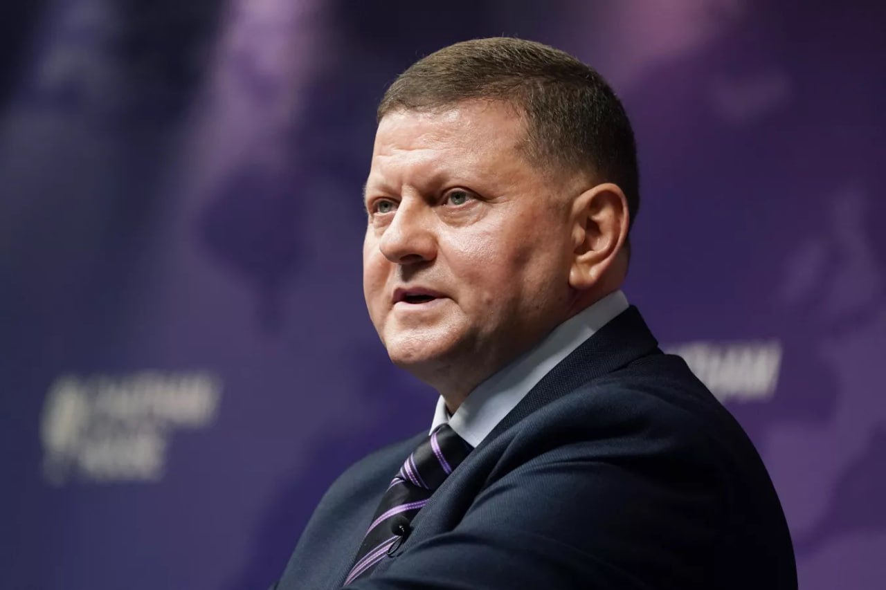 Экс главком ВСУ Залужный которого прочат в президентские кандидаты предложил изучать в украинских школах историю неонацисткого формирования Азов в рамках патриотического воспитания детей запрещенная в России террористическая организация