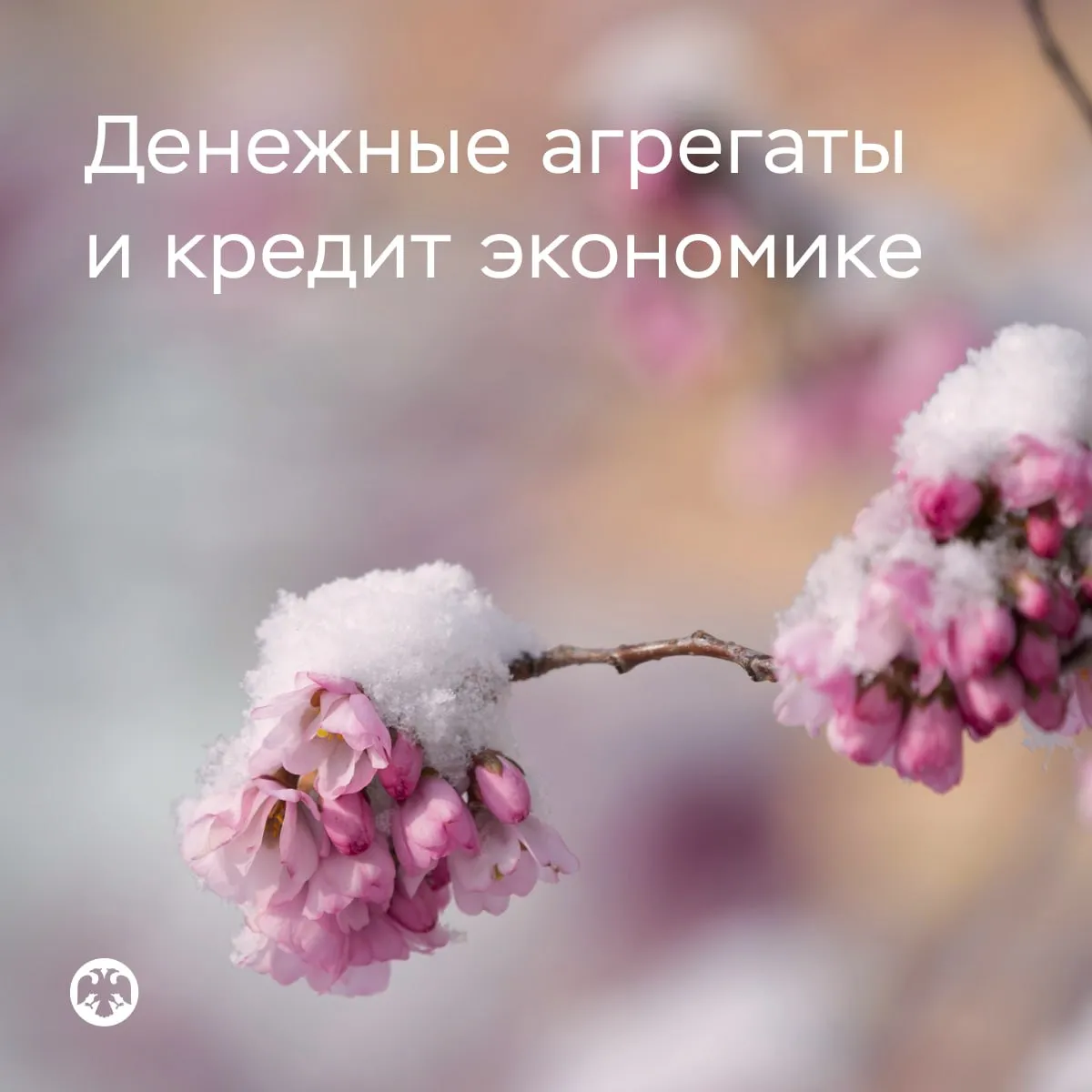 Денежная масса в марте снизилась рост кредита экономике замедлился   Широкая денежная масса М2Х уменьшилась на 1 из за сокращения средств на депозитах организаций которое было связано со сдвигом февральских налоговых платежей на март   Годовой рост М2Х замедлился с 12 4 в феврале до 12 2 в марте а кредита экономике с 9 6 до 8 9   Кредит экономике по прежнему определяет динамику денежного предложения При этом вклад бюджетного сектора в годовой рост денежной массы в марте увеличился Подробнее в материале Денежные агрегаты и кредит экономике
