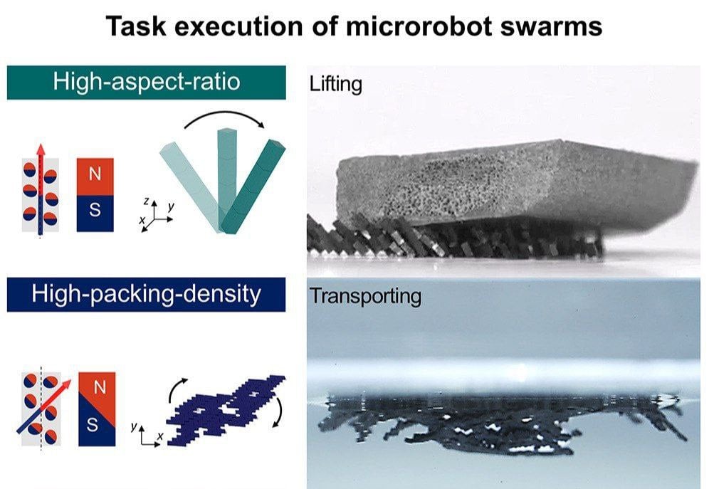 Рой микророботов!  Южнокорейские учёные разработали микророботов, способных работать сообща подобно муравьям.  Каждый микроробот размером всего 600 микрометров изготовлен из эпоксидной смолы с ферромагнитными частицами. Благодаря этому они могут реагировать на магнитные поля и взаимодействовать друг с другом. Управление роем осуществляется с помощью вращающегося магнитного поля, создаваемого двумя соединенными магнитами.  Исследователи запрограммировали роботов на формирование различных конфигураций путем регулировки угла намагничивания. Это позволяет им объединяться в разнообразные паттерны для выполнения сложных задач.  В ходе экспериментов микророботы продемонстрировали:   Преодоление препятствий в 5 раз выше их собственного роста  Транспортировка грузов в 350 раз тяжелее отдельного робота  Формирование плота на воде для переноса объектов  Очистка заблокированных трубок, имитирующих кровеносные сосуды  Ученые видят потенциал применения таких роев в медицине, доставке лекарств и транспортировке микрообъектов. Однако для реального применения потребуется повысить уровень автономности роботов. В настоящее время они нуждаются во внешнем магнитном управлении и не могут самостоятельно ориентироваться в сложных пространствах.  Ждём, когда в них можно будет встроить LLM-модель…