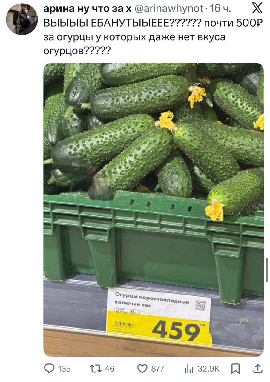 Огурцы стали стоить дороже мяса в России Обычные короткоплодные овощи стоят 500 рублей за кг из за чего россияне массово отказываются от них banki oil