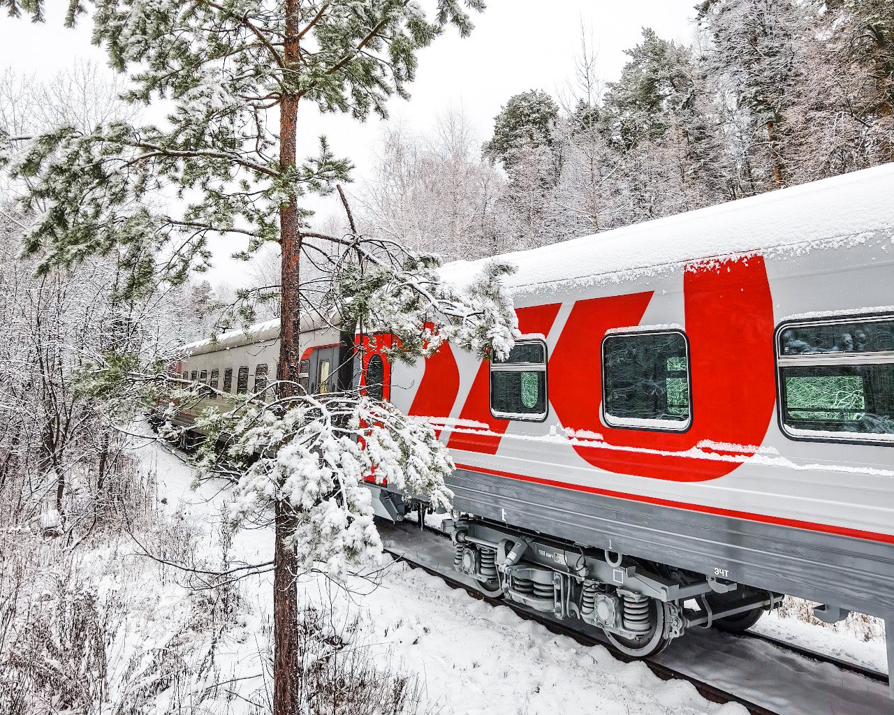 Более 743 тыс пассажиров отправлено с вокзалов и станций ПривЖД в январе 2026 года Это на 2 6 меньше чем за аналогичный период 2025 года   В пригородном сообщении отправлено 471 9 тыс пассажиров 4 7 в дальнем следовании 271 5 тыс 1 3   Пассажирооборот на ПривЖД в январе снизился на 0 1 к аналогичному периоду 2025 года и составил 269 8 млн пасс км В том числе в пригородном сообщении 21 4 млн пасс км 3 6 в дальнем следовании 248 4 млн пасс км 0 2