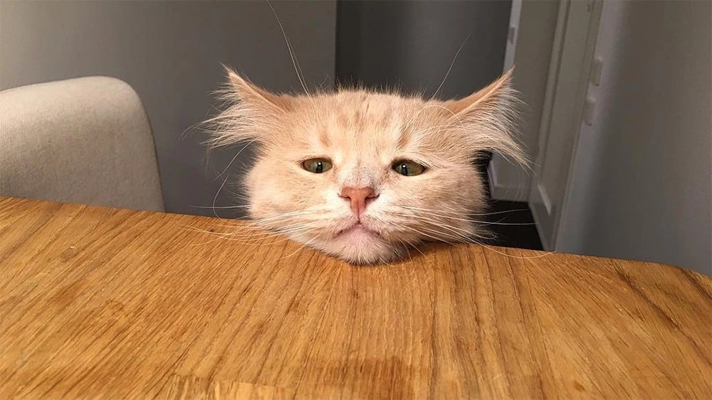 Барнаул 1 Фейерверка не будет Как сообщает НГС 22 в новогоднюю ночь Барнаул останется без салюта В мэрии не объяснили причину сколько только что фейерверк в программе празднования не предусмотрен Подписаться Прислать новость