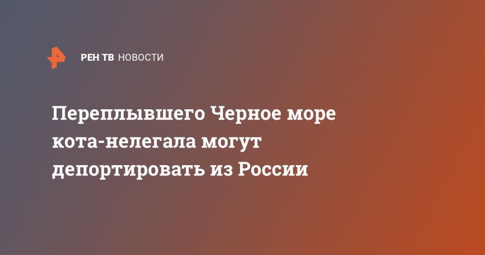 Переплывшего Черное море кота-нелегала могут депортировать из России ⁠ Кот из Турции переплыл Черное море, забравшись в контейнер судна, следовавшего из Стамбула в Новороссийск. Как стало известно РЕН ТВ, пушистого нелегала обнаружили моряки, услышавшие жалобное мяукание из грузового отсека.  Переплывшего Черное море кота-нелегала могут депортировать Членам экипажа пришлось кормить кота-путешественникачерез узкую щель и поить его с помощью трубочки, поскольку вскрывать контейнеры категорически запрещено.  Как черный кот оказался в контейнере, неизвестно. Груз поступил на судно уже закрытым, в опломбированном виде.  Освободить кота из контейнера удалось только после прибытия в Россию. Однако приключения питомца на этом не закончились. По правилам тамож...  Подробнее>>>