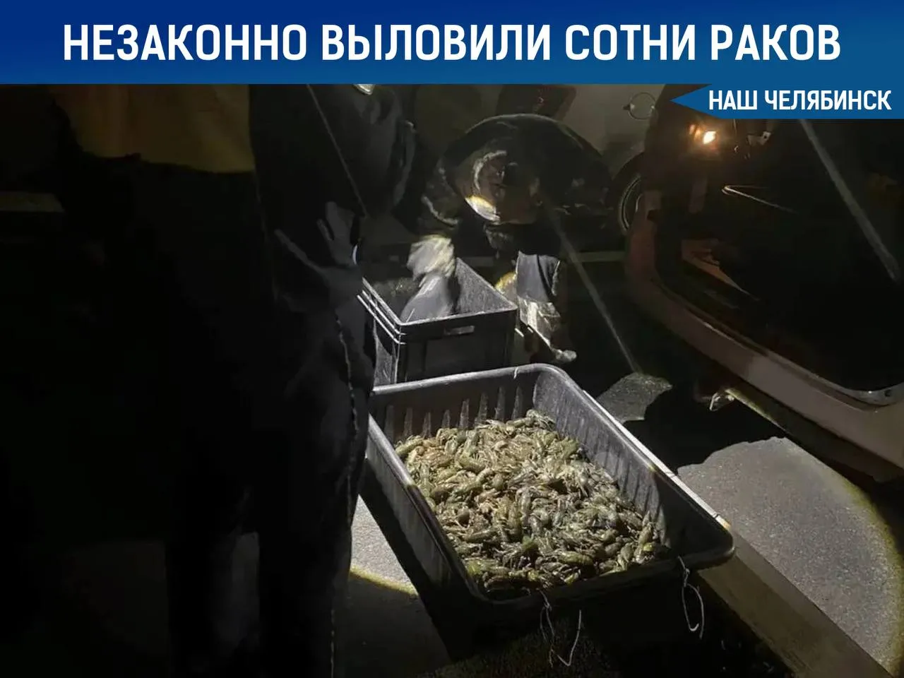 Под Челябинском поймали браконьеров с сотнями раков У озера Смолино сотрудники ГАИ остановили подозрительную машину Внутри были мужчины в водолазных костюмах оборудование и большой улов 758 раков 25 окуней и щука Сейчас в регионе действует нерестовый запрет а ущерб от незаконной рыбалки оценили в 190 тысяч рублей Наш Челябинск новости без лапши Подпишись