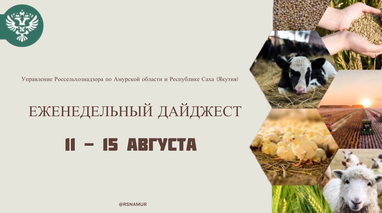 День государственного флага Российской Федерации Служащие Россельхознадзора приняли участие в акциях приуроченных Дню государственного флага РФ В Амурской области Россельхознадзор пресек использование продукции без документов в общепите В Октябрьском муниципальном районе установлены карантинные фитосанитарные зоны В результате профилактической работы Россельхознадзора на трёх сельхозучастках ликвидированы свалки Под контролем Россельхознадзора 470 питомцев компаньонов с хозяевами отправились в Китай Россельхознадзором выявлено более 1 5 тысяч нарушений при оформлении ветеринарных документов Россельхознадзор предотвратил ввоз 6 тонн импортных нектаринов заражённых карантинным объектом В Республике Саха Якутия Россельхознадзор проводит фитосанитарный мониторинг тепличных хозяйств Россельхознадзором в 5 хозяйствах отобраны пробы сельхозпродукции для исследований на пестициды Россельхознадзор проконтролировал более 2 тысяч гектаров земель сельскохозяйственного назначения Россельхознадзор проконтролировал поставку более 7 тысяч тонн кормового зерна Обратная связь Приглашаем принять участие в опросах которые помогут улучшить качество предоставляемых ведомством услуг и информационных сервисов Смотрите новости Управления в социальных сетях ВКонтакте Телеграмм Сайт