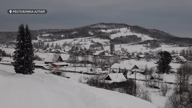 В Республике Алтай завершена кампания по легализации труда: 10 тысяч человек получили официальные статусы