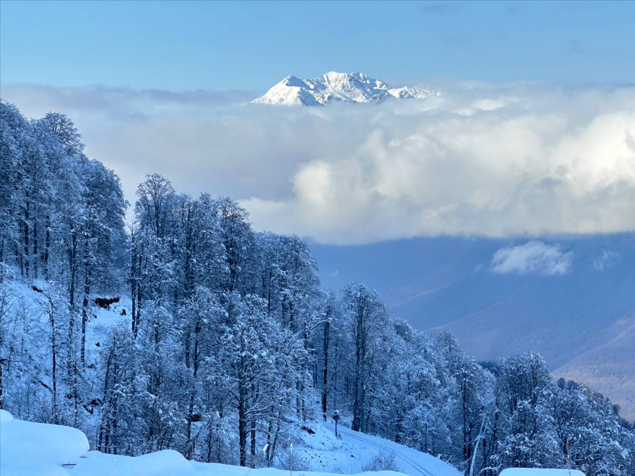 МЧС предупреждает о лавиноопасности в горах Сочи До конца января на высотах более 1500 метров сохраняется риск схода лавин Туристам советуют не ходить по крутым склонам с уклоном более 30 градусов особенно там где нет растительности После сильных снегопадов лучше избегать опасных зон в течение 2 3 дней Кубанские Новости   Мы в MAX