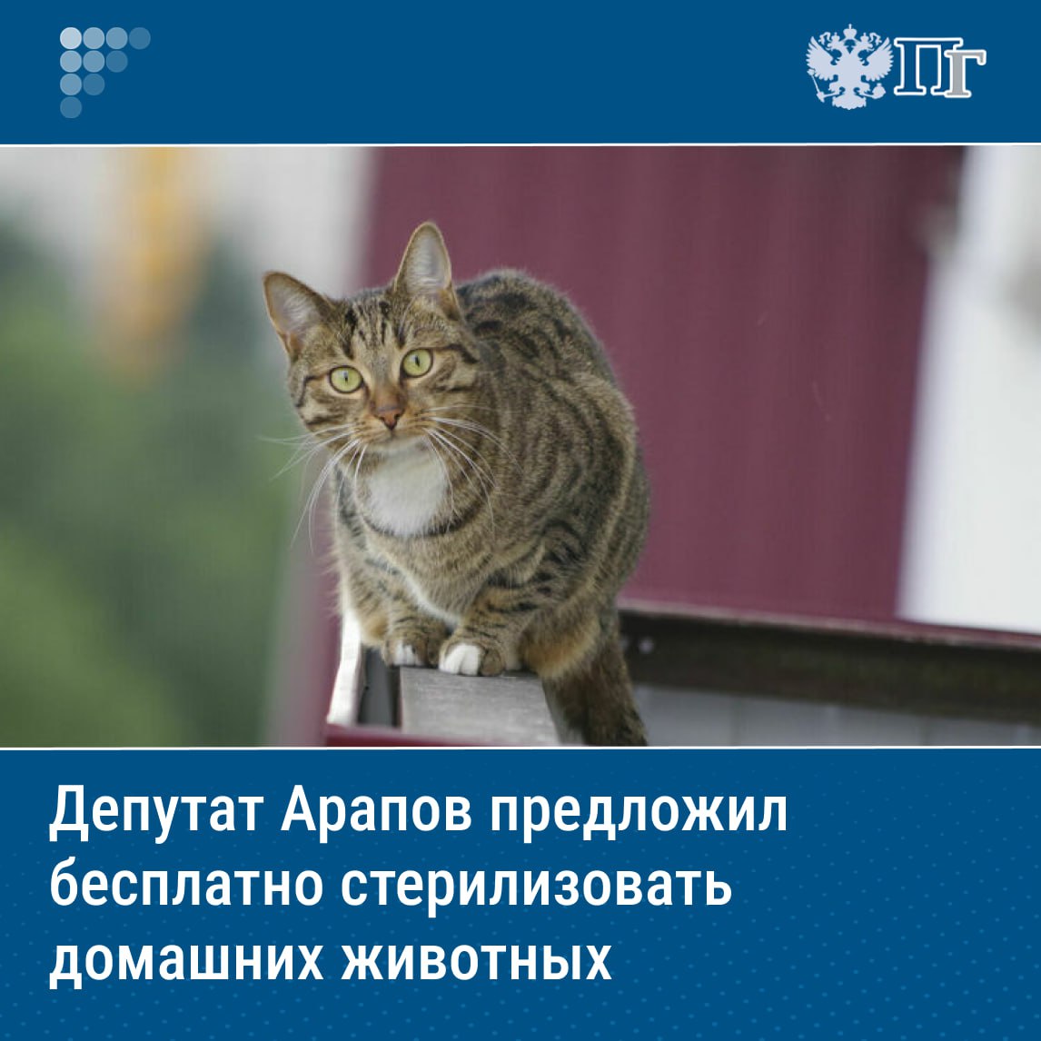 Зампред Комитета Государственной Думы по экологии, природным ресурсам и охране окружающей среды, депутат от партии «Новые люди» Георгий Арапов предложил ввести в России федеральную программу бесплатной стерилизации домашних животных. Соответствующее письмо парламентарий направил главе Минприроды Александру Козлову, отметив, что сейчас бесплатная услуга доступна лишь льготным категориям россиян в некоторых регионах. При этом расходы на стерилизацию питомцев являются существенными для многих жителей. «Считаю необходимым рассмотреть возможность введения на федеральном уровне программы бесплатной стерилизации домашних кошек и собак по желанию граждан во всех субъектах РФ», — написал депутат. Подписаться на «Парламентскую газету»