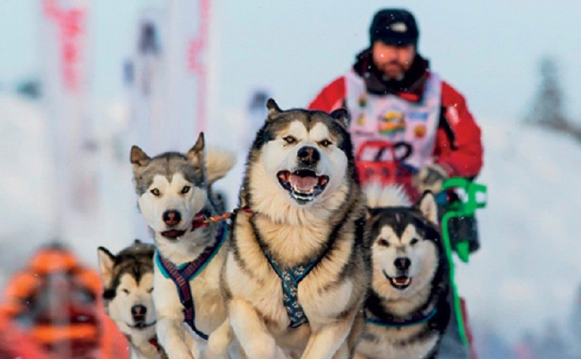 Всероссийская гонка Берингия Авача 2026 стартует 7 февраля Лучших определят в трех дисциплинах Всероссийская гонка по ездовому спорту на длинные дистанции Берингия Авача пройдет на Камчатке с 7 по 15 февраля Уже можно подать заявку Подробности по ссылке kamtime ru article b3009755 ab93 49e4 a8a5 51479b8627e2