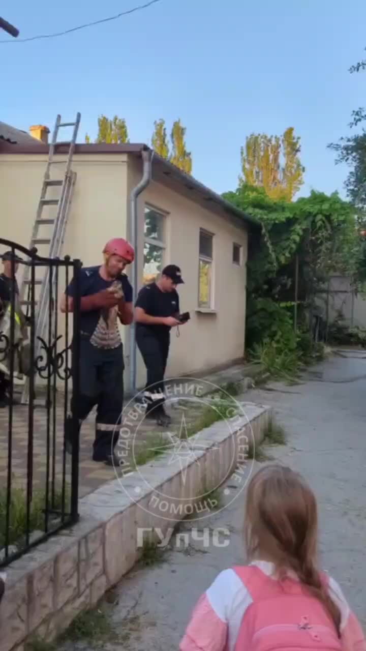 Специалисты Мичуринского центра спасли трёх хищных птиц в Тамбовской области и Тирасполе