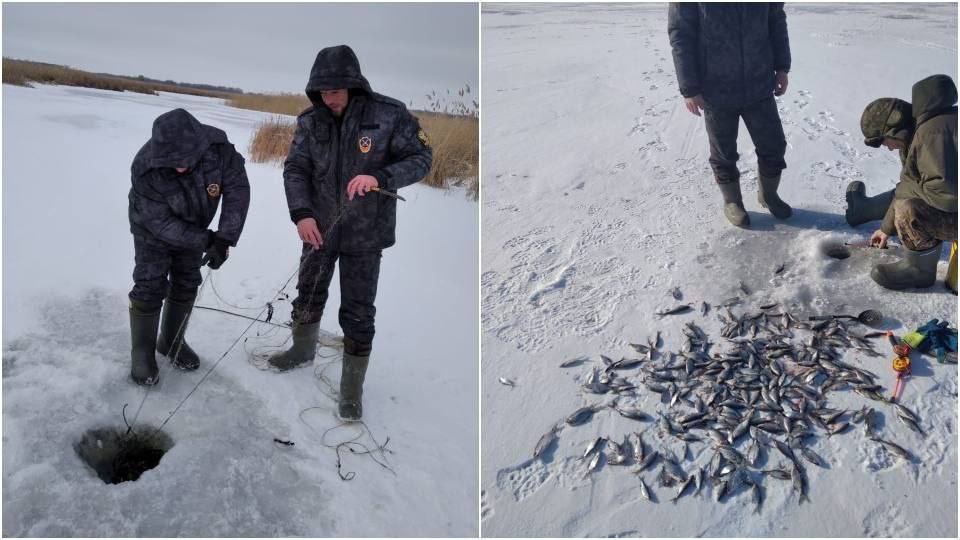 В Саратовской области продолжаются рейды на водоемах. С 3 по 16 февраля зафиксировано 70 случаев нарушения правил рыболовства, сообщает Волго-Камское ТУ Росрыболовства. В ходе проверок у нарушителей конфисковали 13 транспортных средств, 137 кг водных биоресурсов и 267 незаконных орудий лова.