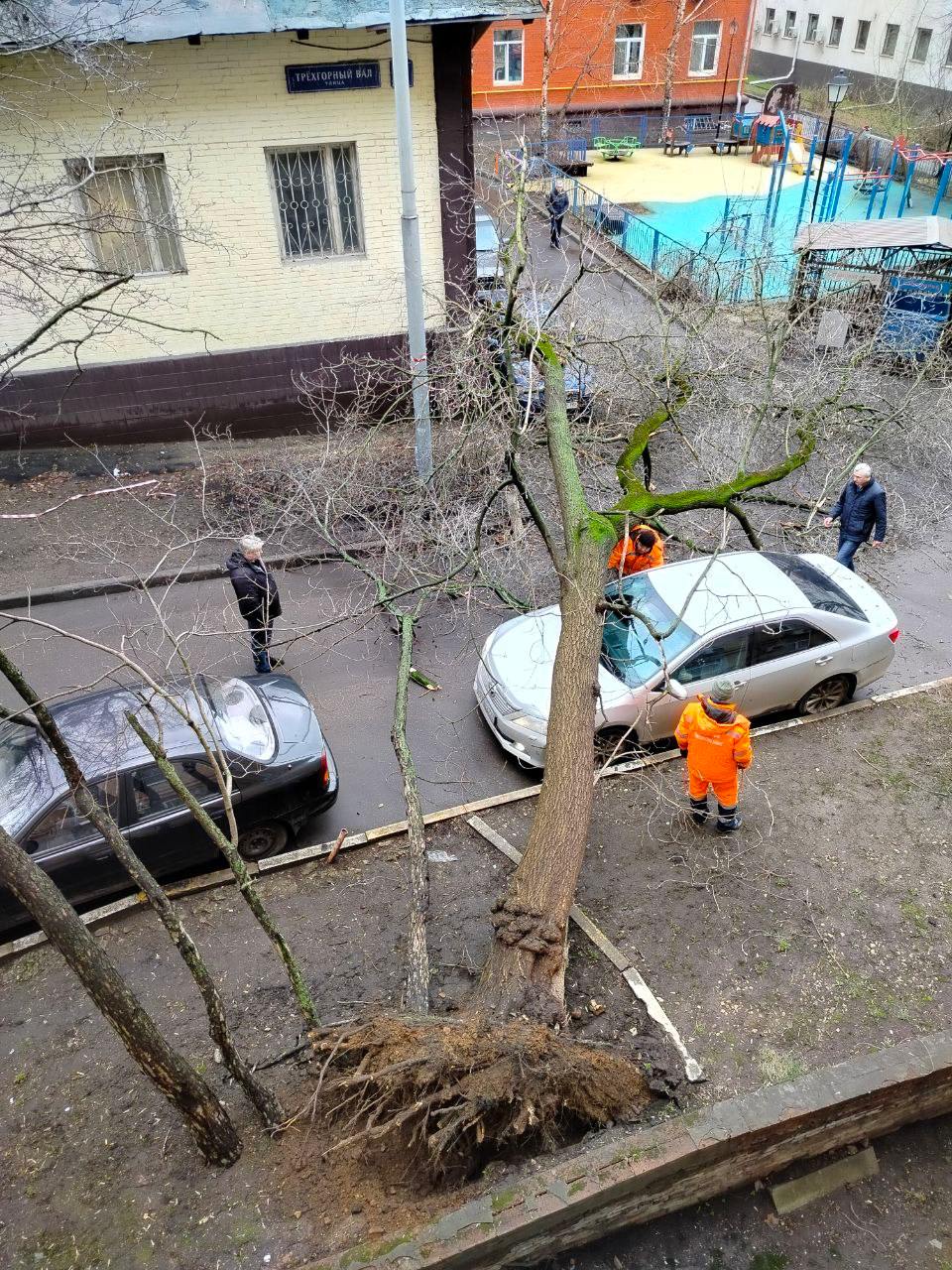 В Москве из-за надвигающегося шторма закрыли парки  Посетителей не пускают в «Сокольники», «Фили» и «Красную Пресню», сообщает MSK. ru.  На улице Трехгорный Вал ветер повалил дерево на автомобиль, на Пушкинской площади — ограждения. Городские службы просят не парковать машины рядом с деревьями и по возможности не выходить на улицу.  Синоптики прогнозируют порывы ветра 22-24 метра в секунду, в столице объявлен желтый уровень опасности