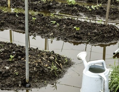 В ДНТ Шишкино-Остров под Читой вода затапливает огороды Жители кооператива пожаловались, что после обильных ливней уровень воды в реке Чита резко поднялся — теперь их участки напоминают болото. Наши огороды в воде, всё в воде. Мы боимся, что вода может подойти к электрической подстанции — сообщили очевидцы в редакцию ZAB.RU. На момент публикации комментарий от главы администрации Читинского района Виктора Машукова получить не удалось. ZAB.RU