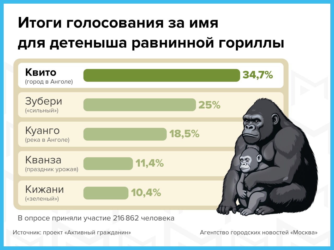 Москвичи выбрали имя для детеныша гориллы Киры из Московского зоопарка – малыша назовут Квито. «Москва»