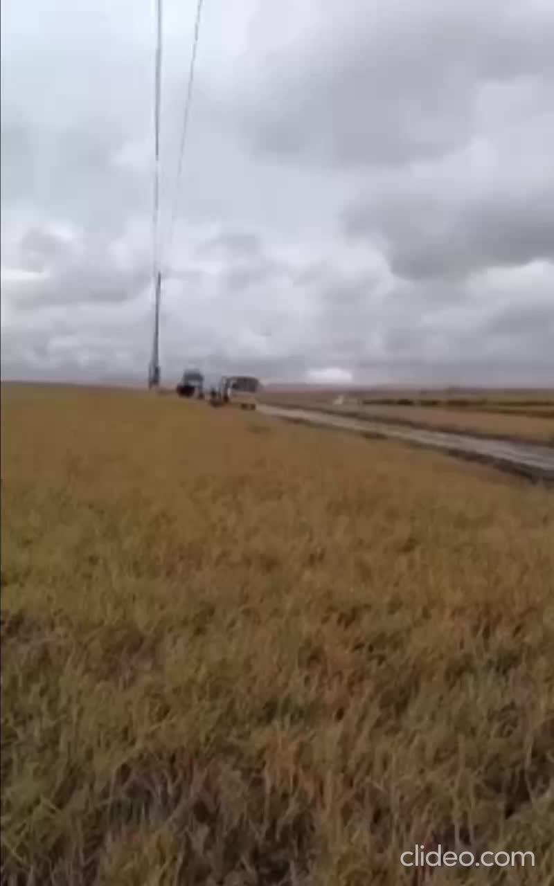 Прокуратура проверяет состояние дорог в Газимуро-Заводском районе после остановки школьных маршрутов