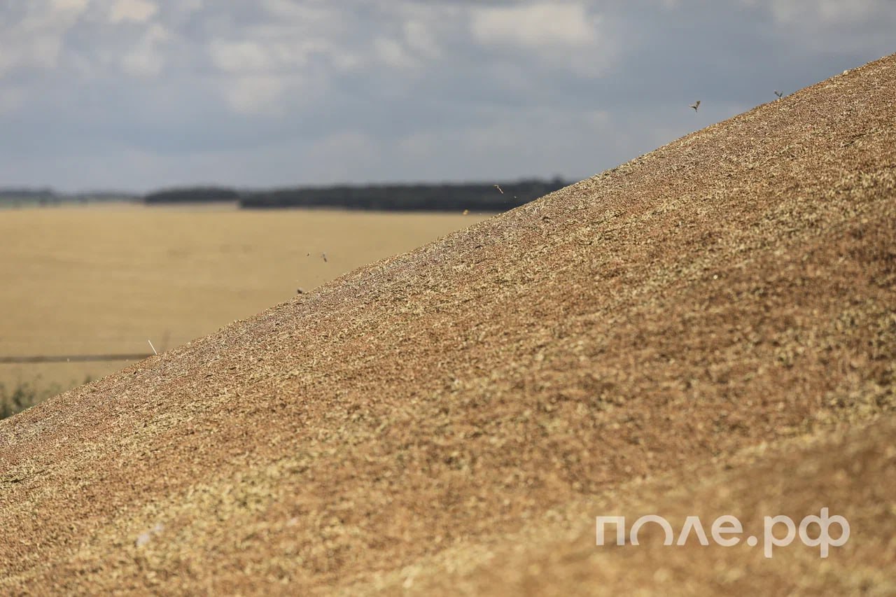 Минсельхоз и Минтранс работают над развитием логистики и повышением эффективности перевозок продукции АПК из Сибири и Урала Для разгрузки железных дорог и увеличения экспортных возможностей Минсельхоз и Минтранс развивают мультимодальные маршруты включая направления через Татарстан и Самарскую область с последующей отправкой зерна речным транспортом подчеркнули в Минсельхозе Прорабатывается также расширение внутренних водных маршрутов до портов Северо Запада и Азово Черноморского бассейна Подробнее Подписывайтесь на нас в Telegram в MAX Оставляйте бусты