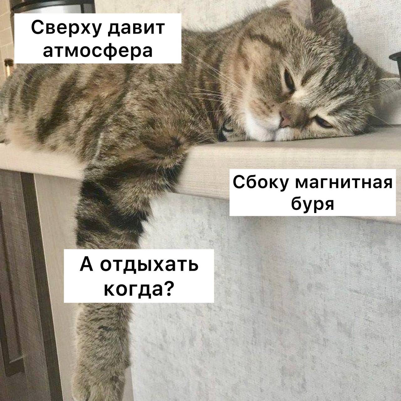 В это воскресенье в Москве прогнозируется рекордно высокое атмосферное давление синоптики Показатели барометров могут достигнуть 762 мм ртутного столба А с понедельника могут начаться магнитные бури