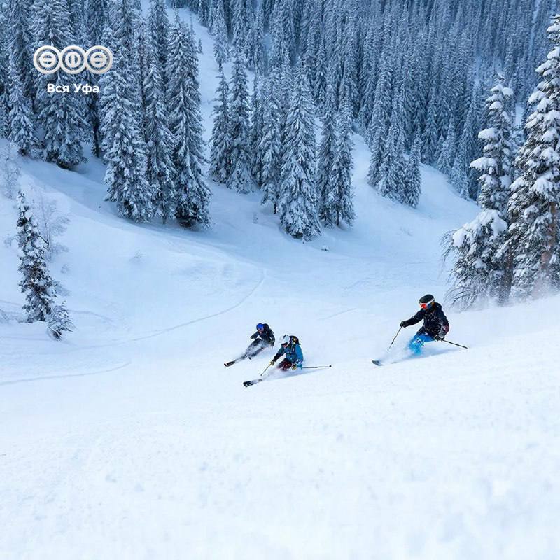 Спортивные мероприятия в Уфе на новогодние каникулы 1 января Забег обещаний на 10 площадках Рождественская лыжня и купания моржей в разных районах Веселые старты и фестиваль Мама папа я спортивная семья Активности для детей на льду снегу и трассах Уфимского Ожерелья