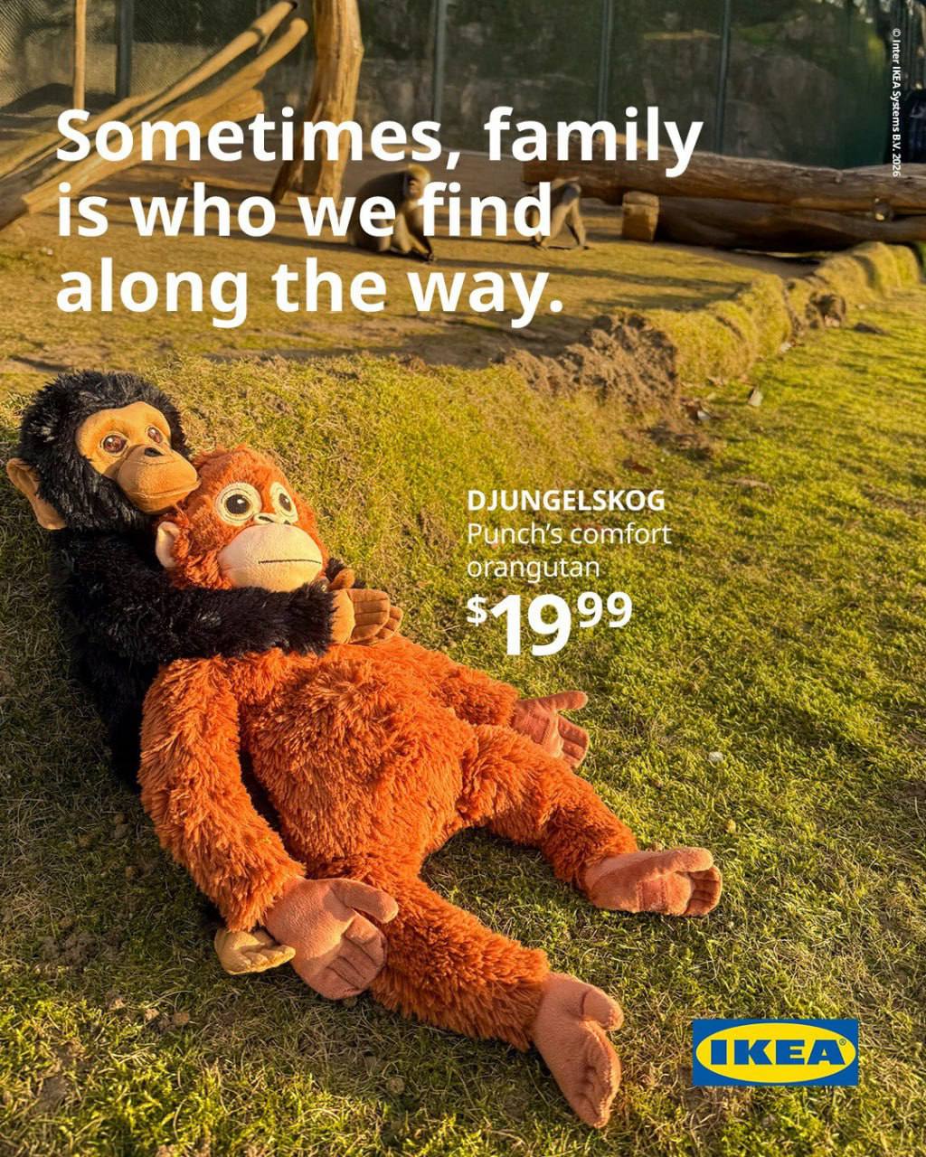В США Японии и Южной Корее буквально смели из IKEA всех плюшевых орангутанов Djungelskog Всё из за трогательной истории макаки Панчи одна из таких игрушек заменила малышу маму В IKEA уже пообещали вернуть игрушку на полки в ближайшее время и официально поддержали Панчи в соцсетях написав Теперь мы все семья Панчи