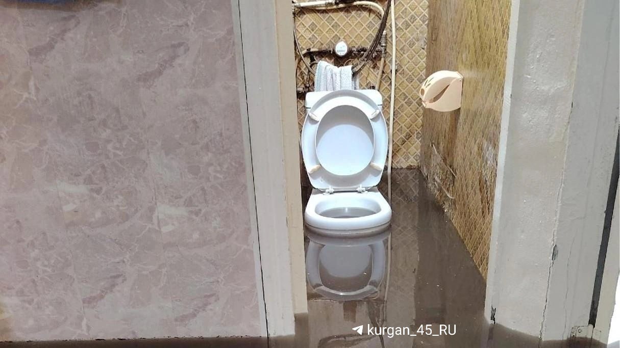 Антон Науменко съездил к жителям дома, который топит каждый сильный ливень В Кургане глава города вместе с коллегами из департамента жилищно-коммунального хозяйства и и. о. руководителя регионального СК Александром Миненковым встретился с жителями дома по улице Линейная, 52. Во время сильного ливня квартиры вновь затопило по колено, а ушла вода только через сутки. Так происходит каждое лето, если идет сильный дождь, так как дом находится в низине. Здание признали аварийным еще в 2017 году и жители дома ждут расселение. — Поручил департаменту ЖКХ и ООО «Прометей» держать дом на особом контроле, а также оперативнее реагировать на обращения жителей, чтобы исключить подтопление территории во время сильных осадков, — сообщил Науменко в соцсетях.