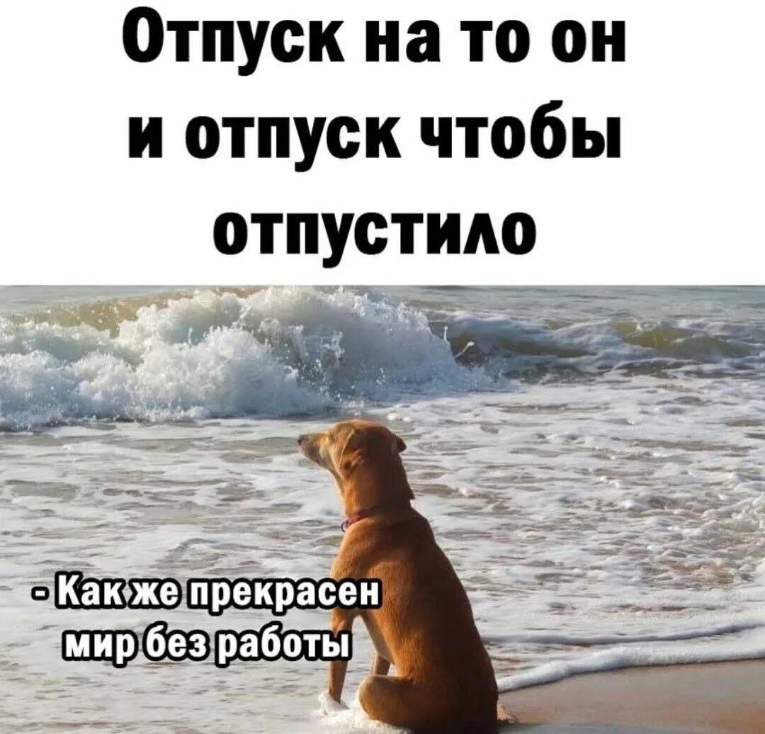 Каждый десятый ямалец пьет успокоительные, чтобы побороть постотпускной стресс Такие выводы сделали в ходе опроса в округе. 28% участников предпочитают возвращаться домой за 1–2 дня до выхода на работу. Среди других популярных методов адаптации — выполнение более простых рабочих задач в первые дни после отпуска 19% , а также желание выспаться и избежать перегрузок 17% . Женщины чаще предпочитают возвращаться из отпуска заранее, тогда как мужчины зачастую не предпринимают специальных мер для адаптации. Кроме того, мужчины чаще заявляют, что не испытывают стресса и возвращаются на работу отдохнувшими. Некоторые и без отпусков пьют успокоительные перед работой Подписаться Прислать новость Дать «буст»