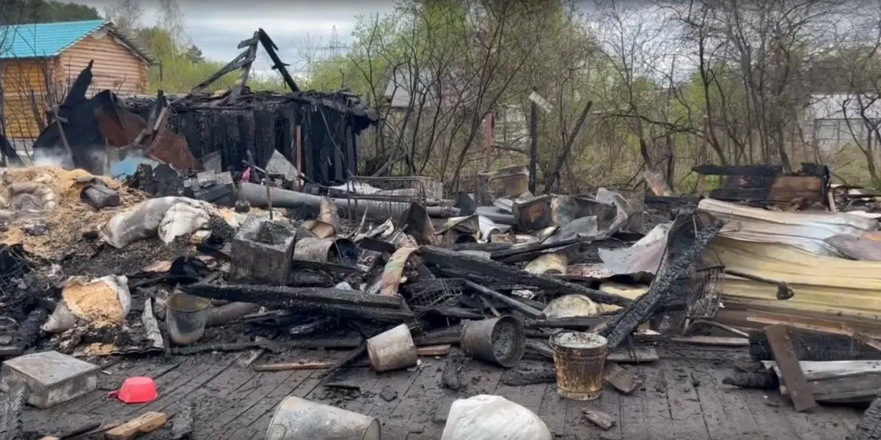На пожаре в пермском приюте погибло 30 собак Волонтеры ищут помощь Что известно Пожар был на площади 80 кв м В огне пострадали два дома и авто сообщает МЧС Прикамья Огонь ликвидировали в 11 24 Горел приют Счастье Есть на ул Экскаваторной 69Г принадлежащем семье Трапезниковых Дом и авто принадлежат супругу Евгению Трапезникову по данным СМИ Что с собаками Журналист Properm ru поговорил с волонтером который работает на месте трагедии Активист насчитал 30 павших животных Пятеро находятся в ветклиниках пятеро сбежали во время пожара Двоих волонтеры смогли найти Судя по комментариям в группе помощи у выживших собак ожоги и поражения легких Активисты выгуливают собак которые надышались угарным газом Как помочь На пожарище работают волонтеры кураторы собак и друзья семьи Требуется помощь деньги на оплату счетов в клиниках Друг на ул Героев Хасана и Аляска на ул Свиязева 63 Нужны вода канистры сухой корм могут пригодиться лекарства и перевязочные материалы Стационар стоит 20 тыс рублей в сутки на одну собаку Еще нужна помощь чтобы разобрать обгорелые завалы поставить временную бытовку и заново обнести территорию забором Даем ссылку на пост с данными сбора Фото Мария Колыванова       Подписаться на Properm ru в Mакс