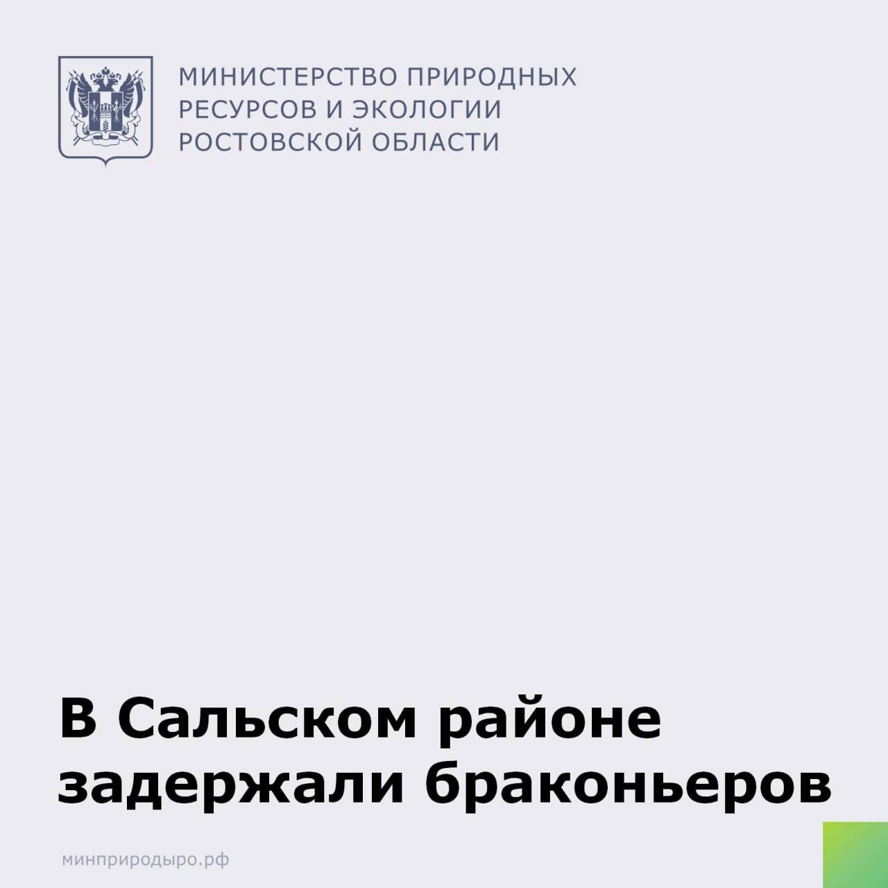 В Сальском районе на территории Кугультинского охотугодья сотрудники минприроды области совместно со штатными сотрудникам охотпользователей задержали двух местных жителей, которые вели охоту на зайцев в ночное время с применения транспортного средства  автомобиля .  На место происшествия были вызваны сотрудники полиции для процессуального оформления случившегося. У правонарушителей изъяты два гладкоствольных ружья, а в транспортном средстве обнаружены 27 незаконно добытых особей зайца-русака.   В настоящее время по данному факту проводится процессуальная проверка.