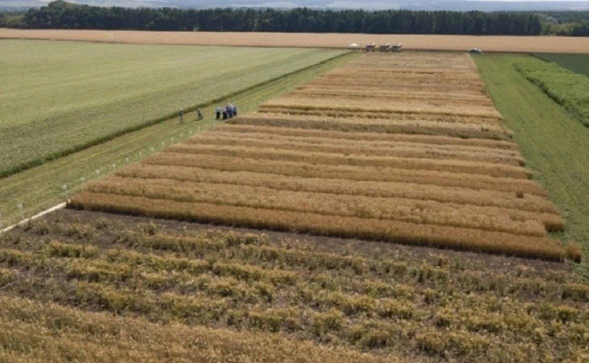 В Башкирии усложнят перевод сельхозземель в другие категории В Башкирии изменят процедуру перевода земель сельскохозяйственного назначения из одной категории в другую Соответствующие изменения планируют внести в региональный закон О регулировании земельных отношений в РБ Проект на заседании комитета Госсобрания по аграрным вопросам экологии и природопользованию 13 января представил замминистра земельных и имущественных отношений республики Артур Аманбаев Изменения внесут вслед за поправками в федеральное законодательство Сейчас в республике решение по ходатайствам о переводе сельхозземель в другую категорию принимает Минземимущество Башкирии на основе решения профильной межведомственной комиссии С марта 2026 года порядок перевода таких земель изменится по всей стране и станет многоступенчатым В Башкирии ходатайство об изменении категории будет поступать в Минземимущество вопрос рассмотрят на межведомственной комиссии а министерство проверит документы и если все в порядке направит предложение о переводе земли главе региона К нему также будет приложен соответствующий законопроект об изменении категории который глава Башкирии внесет в региональный парламент если согласен с предложением РБК Уфа в Telegram РБК Уфа в MAX