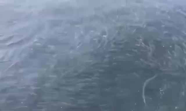 Резкое ухудшение погоды заставило рыбаков покинуть Набильский залив после удачного улова во Владивостоке