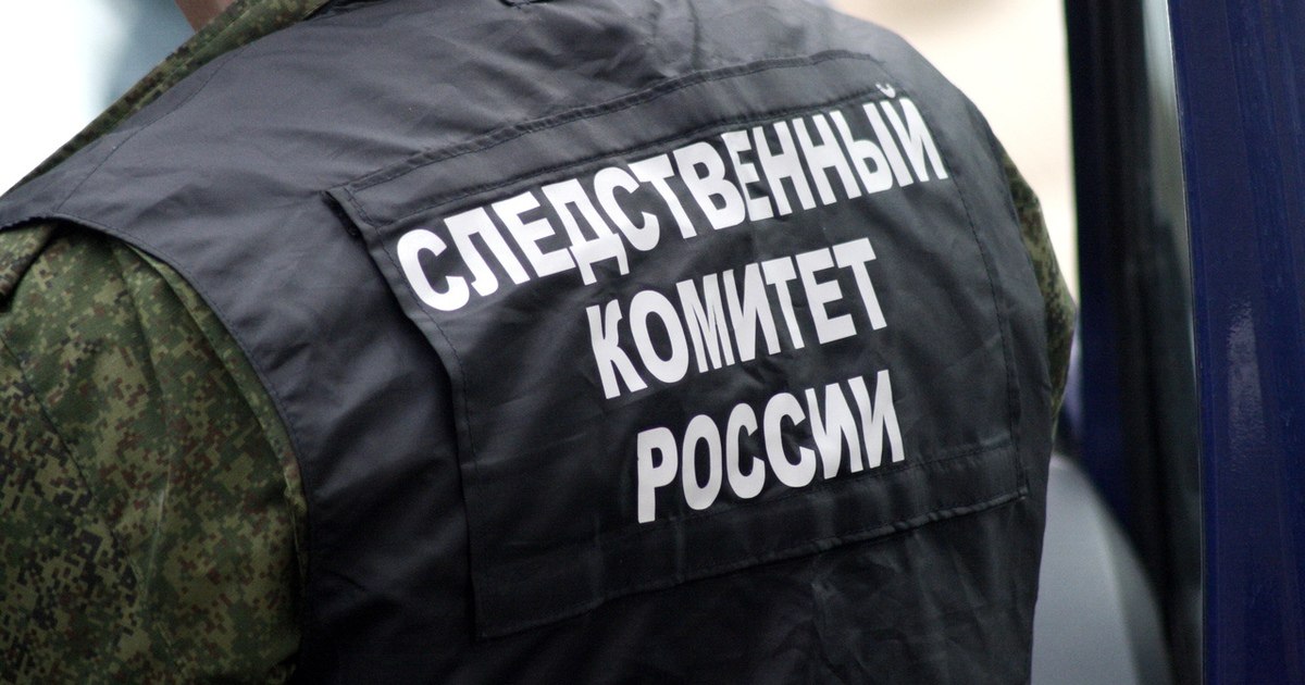 Бухгалтер в Карачаево-Черкесии сначала обворовала музыкальную школу, а потом - управление культуры Бухгалтер в музыкальной школе с 2022 по 2024 годы незаконно завышала себе зарплату. Так она, как считает следствие, похитила из бюджета свыше 2,9 млн рублей, сообщили в управлении Следкома по республике. На этом 44-летняя женщина не остановилась. В 2024 году она работала главбухом в управлении культуры муниципалитета, и имея доступ к электронной подписи руководителя, переводили деньги на свой счёт. В этом случае ущерб государству превысил 1,1 млн рублей. Против женщины возбудили уголовное дело о мошенничестве и неправомерном обороте средстве платежей. Она предстанет перед судом в Черкесске, отметили в прокуратуре республики. Имущество бухгалтера стоимостью более 5,7 млн рублей арестовали. «ВКонтакте» и в «Одноклассниках», чтобы быть в курсе самых интересных новостей Кавказа. -канал АиФ – Северный Кавказ