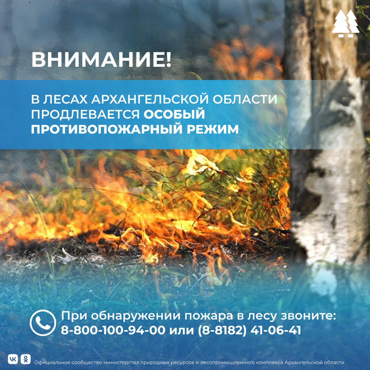 Особый противопожарный режим в лесах Архангельской области продлен до 7 августа  Такое решение принято на заседании оперативного штаба по координации деятельности по тушению лесных пожаров.  Напомним, что ОПР в лесах Архангельской области был введен с 24 по 31 июля. За сезон в Поморье произошло 69 лесных пожаров на площади более 470 гектаров. Только за июль возникло уже 37 возгораний. На данный момент в регионе сохраняется высокий класс пожарной опасности по погодным условиям.  За время действия ОПР в лесах области создано 111 мобильных групп, 213 шлагбаумов закрыто, установлены почти 200 баннеров, запрещающих въезд в леса. Специалисты лесного хозяйства совместно с сотрудниками МЧС, МВД и органов местного самоуправления провели почти 500 патрулирований. Рейды продолжатся.  Нарушение правил пожарной безопасности в лесах в условиях особого противопожарного режима влечет наложение административного штрафа. Просим жителей области воздержаться от посещения лесов.